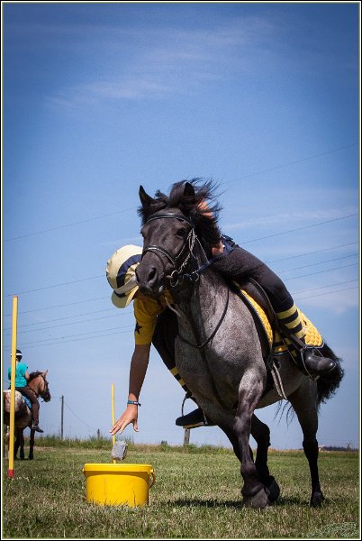Mounted Games 175